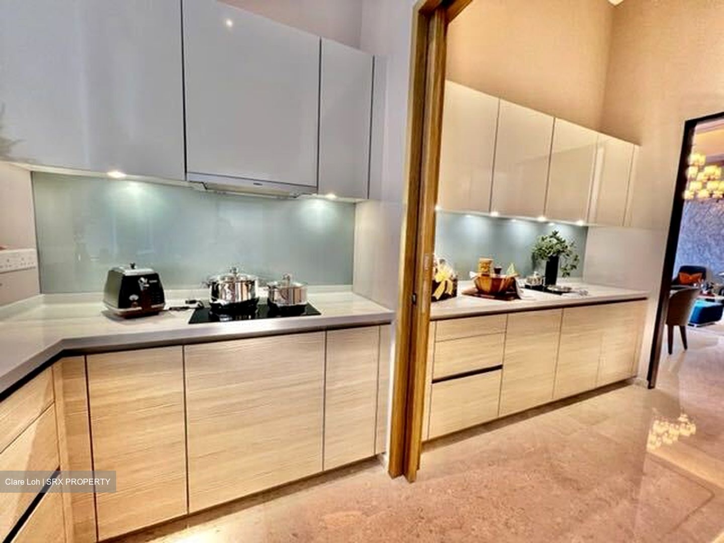 V On Shenton (D1), Apartment #441357691